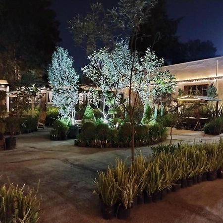 Utopia Hotel Boutique Mexico by Eksteriør bilde